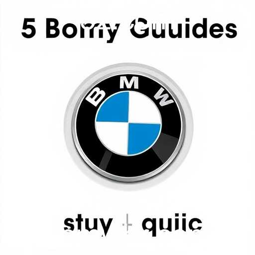 Buying Guides: Navigating the World of Purchasing with Keyword '5bmw'